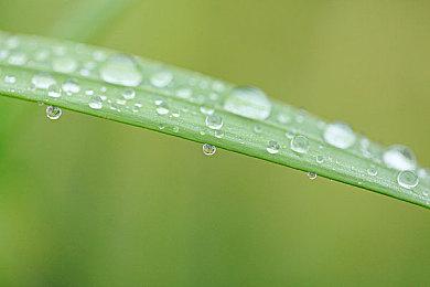  网友惊呆无语 国外《任天堂大乱斗DX》比赛靠BUG决胜